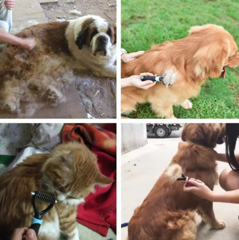 Peine acicalador de mascota | ENVÍO GRATIS